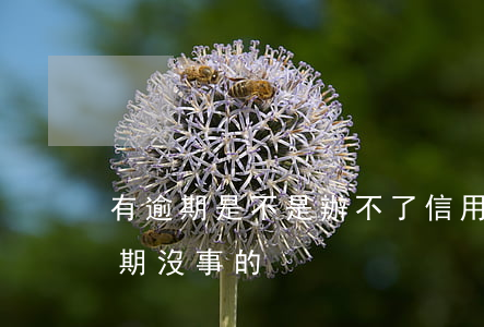 有逾期是不是辦不了信用卡（有沒有信用卡逾期沒事的）