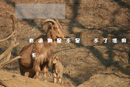 有逾期是不是辦不了信用卡（逾期就不下信用卡嗎）