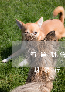 有逾期會凍結(jié)銀行卡嗎（信用卡逾期銀行會凍結(jié)儲蓄卡嗎）