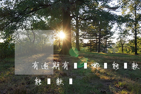 有逾期有負債哪個能貸款(負債高沒有逾期還能貸款嗎)