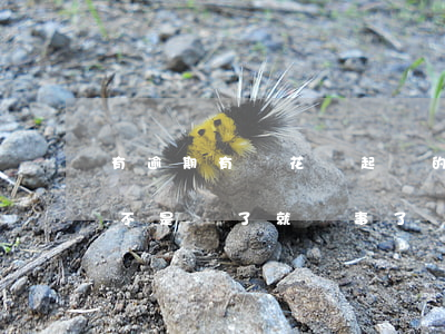 有逾期有錢花唄起訴的嗎(花唄逾期被起訴,是不是還了就沒事了)