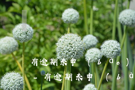 有逾期未申報(bào)能變更一般納稅人-有逾期未申報(bào)能變更一般納稅人嗎