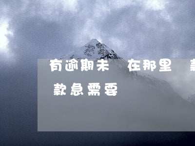 有逾期未還在那里貸款(當前逾期哪里可以貸款急需要)