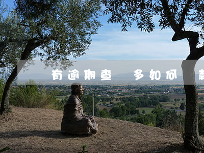 有逾期查詢多如何貸款(查詢超了如何貸款)
