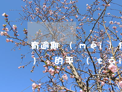 有逾期沒(méi)信用卡能網(wǎng)貨的平臺(tái)嗎-有信用卡有網(wǎng)貸沒(méi)有逾期可以貸款買(mǎi)房嗎