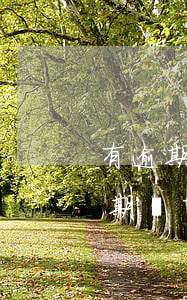 有逾期沒(méi)還還可以貸款嗎(貸款逾期還了以后還可以貸款嗎)