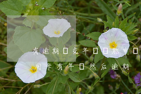 有逾期沒交年費還能申請信用卡嗎(不知道信用卡有年費然后逾期)