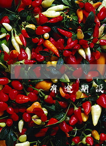 有逾期没还怎么贷款