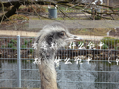 有逾期為什么能申請(qǐng)房貸(有逾期為什么能申請(qǐng)房貸)