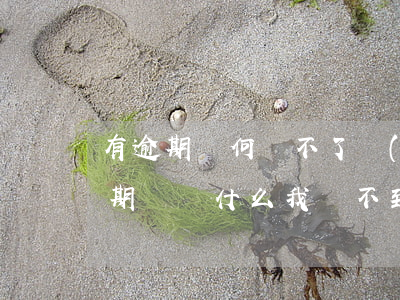 有逾期為何帶不了網(wǎng)貸(我沒逾期過為什么我貸不到網(wǎng)貸)