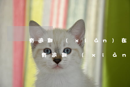 有逾期現(xiàn)在還在逾期可以貸款嗎(有逾期現(xiàn)在還在逾期可以貸款嗎)
