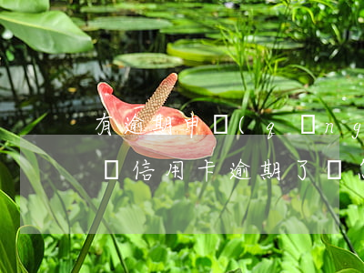 有逾期申請(qǐng)中信信用卡提額度嗎(信用卡逾期了該怎么做)