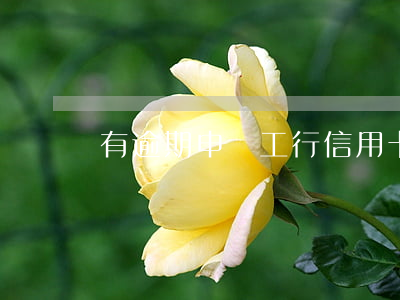 有逾期申請工行信用卡提額度