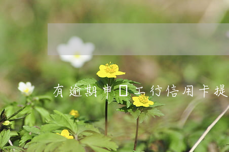 有逾期申請工行信用卡提額度嗎