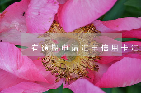 有逾期申请汇丰信用卡(汇丰信用卡很难申请)