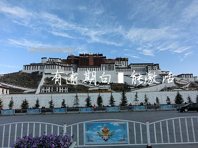 有逾期白條能激活