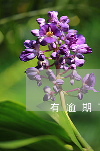 有逾期百度錢包能貸款嗎