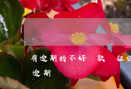 有逾期的不好貸款嗎(征信不好能貸款嗎,還有逾期)