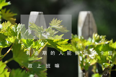 有逾期的人能辦信用卡（信用卡逾期可以去行政上班嘛）