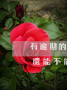 有逾期的人能辦理信用卡嗎(身上有逾期的人還能不能辦信用卡)