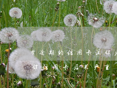 有逾期的信用卡注销后还有逾期吗(逾期后注销信用卡后果严重)