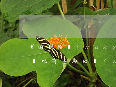 有逾期的網(wǎng)貸可以辦信用卡嗎貼吧（有逾期的網(wǎng)貸可以辦信用卡嗎）