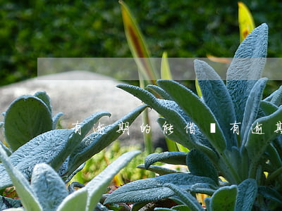 有逾期的能借錢(有逾期的能貸款嗎)