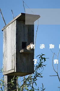 有逾期的還能用什么網(wǎng)貸(逾期了還有什么網(wǎng)貸可以借)