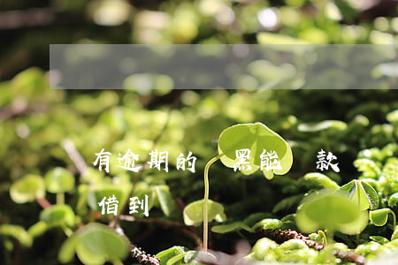 有逾期的雙黑能貸款嗎(雙黑逾期怎么樣才能借到錢)