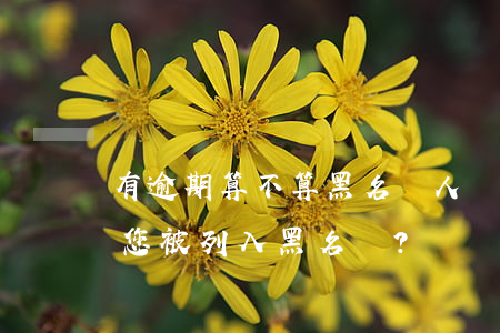 有逾期算不算黑名單人員，逾期記錄是否會使您被列入黑名單？