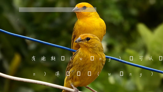 有逾期網(wǎng)貸可以轉(zhuǎn)深戶嗎(網(wǎng)貸逾期會(huì)變成黑戶嗎)