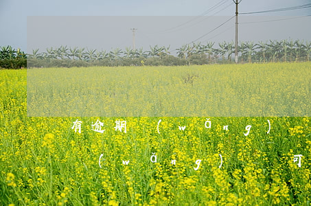 有逾期網(wǎng)貸還可以下錢(有逾期網(wǎng)貸還可以下錢)