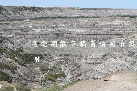 有逾期能下招商信用卡(招商逾期還了卡片能用嗎)