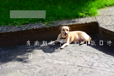 有逾期能下款的貸款軟件(逾期也可以貸款的軟件)