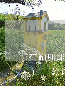 有逾期能不能商業(yè)貸款(商業(yè)貸款逾期一次影響大嗎)