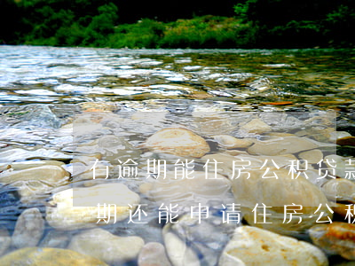 有逾期能住房公积贷款吗(个人征信显示有逾期还能申请住房公积金么)