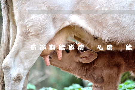 有逾期能做房貸么(房貸能逾期嗎)