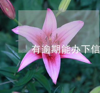 有逾期能办下信用卡 有逾期能办下信用卡