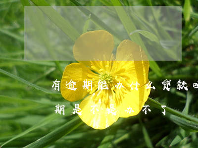 有逾期能办什么贷款吗(近期办贷款近期有逾期是不是办不了)