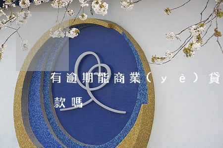 有逾期能商業(yè)貸款嗎(有逾期可以貸款嗎)