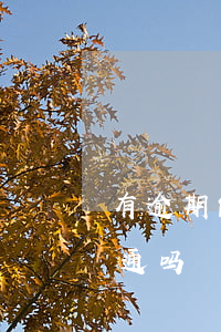 有逾期能开京东白条吗(京东白条逾期还能开通吗)