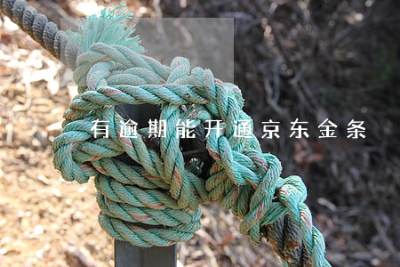 有逾期能开通京东金条
