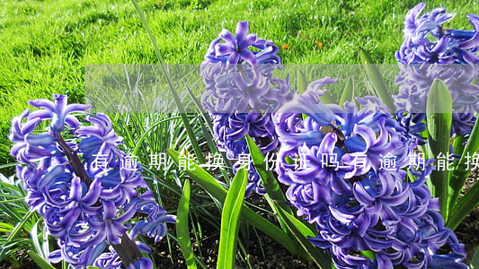 有逾期能换身份证吗(有逾期能换身份证吗)
