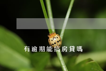 有逾期能搞房貸嗎