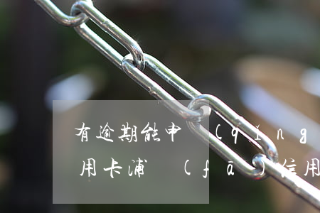 有逾期能申請(qǐng)浦發(fā)信用卡（浦發(fā)信用卡逾期m1可以用卡嗎）
