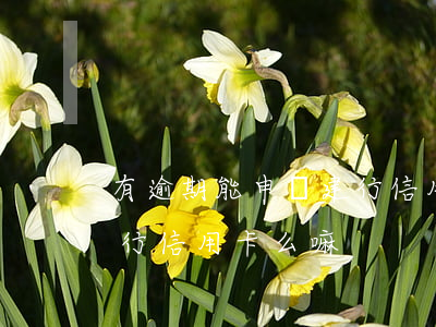 有逾期能申請建行信用卡么(有逾期能申請建行信用卡么嘛)