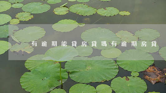 有逾期能貸房貸嗎(有逾期 房貸)