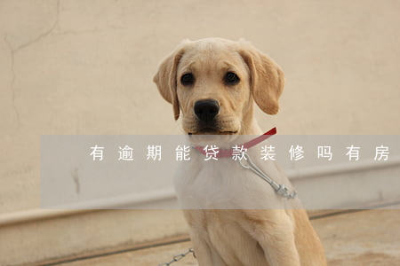 有逾期能贷款装修吗(有房贷还能装修贷款吗)
