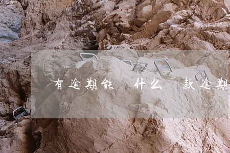 有逾期能辦什么貸款(逾期了哪里可以貸款)