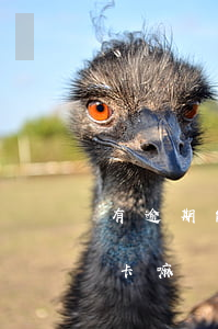 有逾期能辦到信用卡嗎(有逾期可以辦理信用卡嘛)